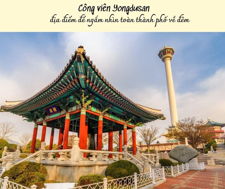 Tour Hàn Bu San - Đắm chìm trong sắc hoa anh đào “Xứ sở Kim chi”